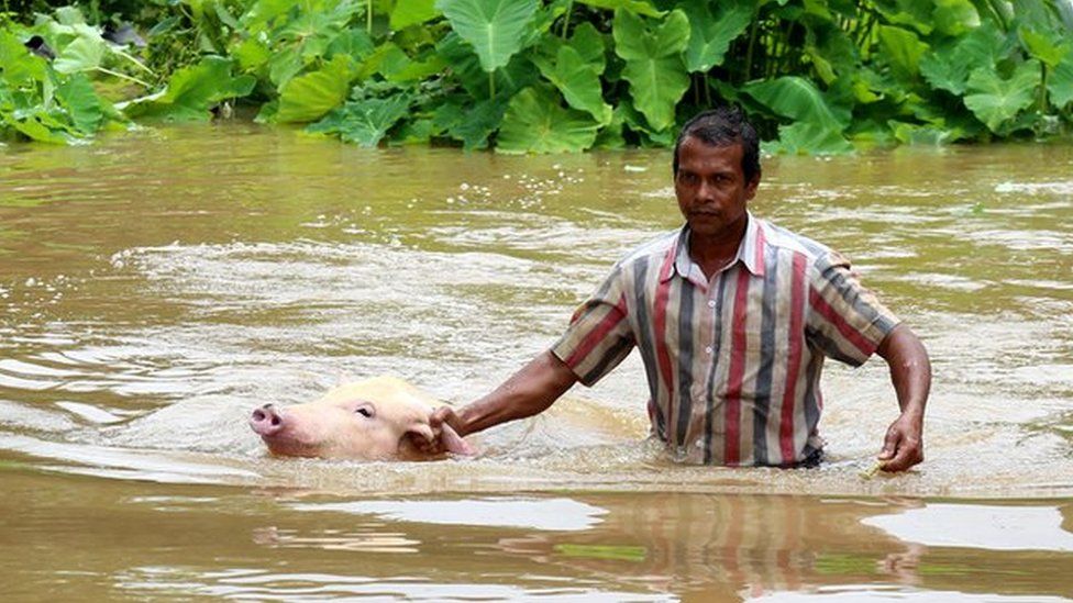 केरल में इस शताब्दी में आए सबसे भयानक बाढ़ का मंजर