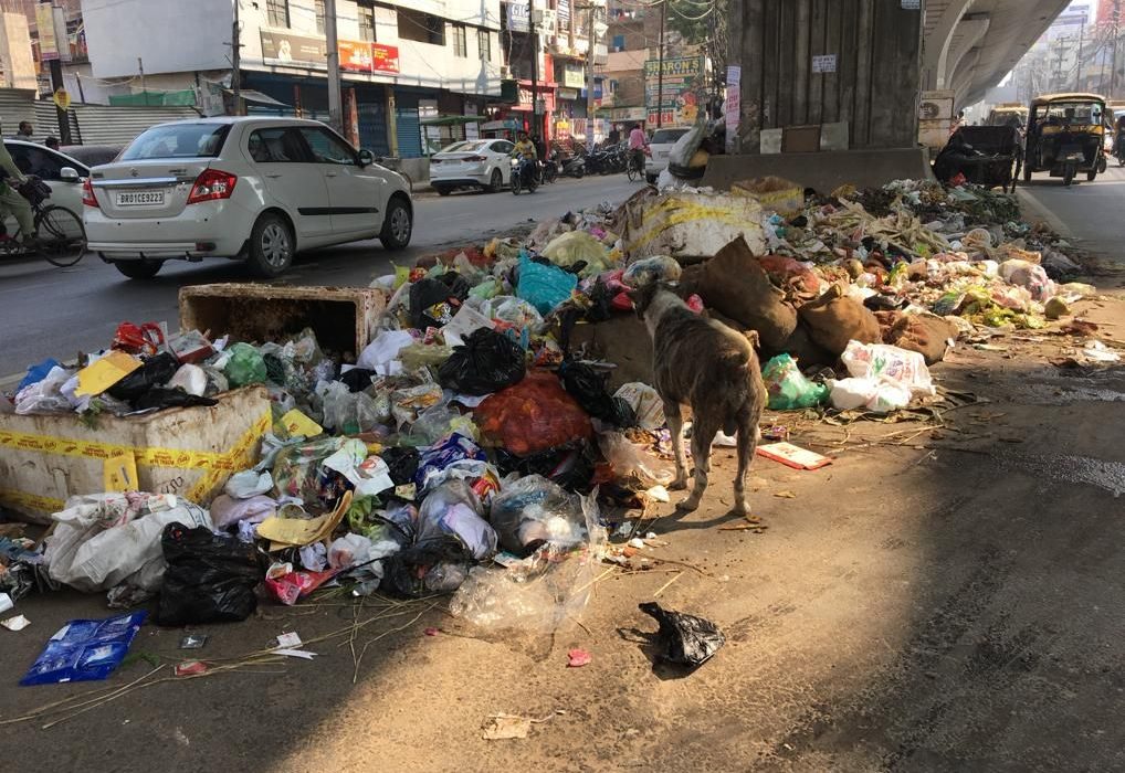 चेतावनी: पटना में पसरा कूड़ा शहर को बीमार, बहुत बीमार कर सकता है…