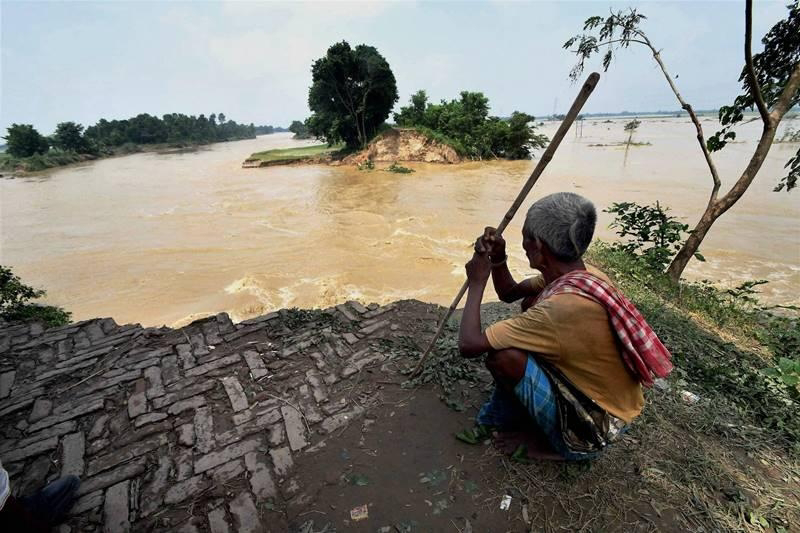 तटबंधों की संख्या बढ़ने के बाद भी बिहार में क्या बाढ़ के लिए तटबंध ही जिम्मेदार?